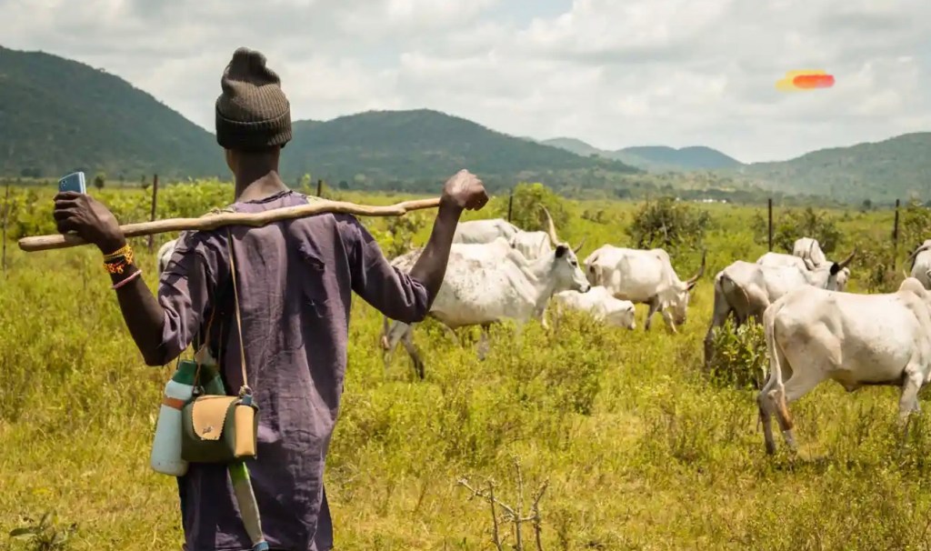The Damau Grazing Reserve in Kaduna, northern Nigeria. 