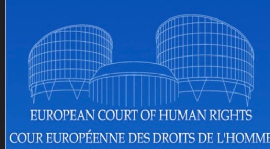 The European Convention on Human Rights (ECHR) and the UK by Lawson ...